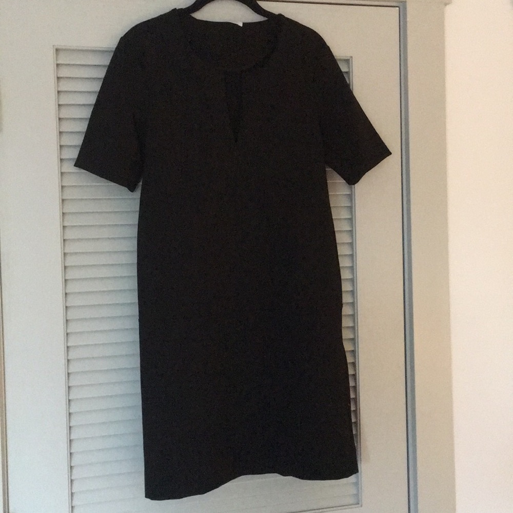 Everlane Black V-Neck Short Sleeve Dress